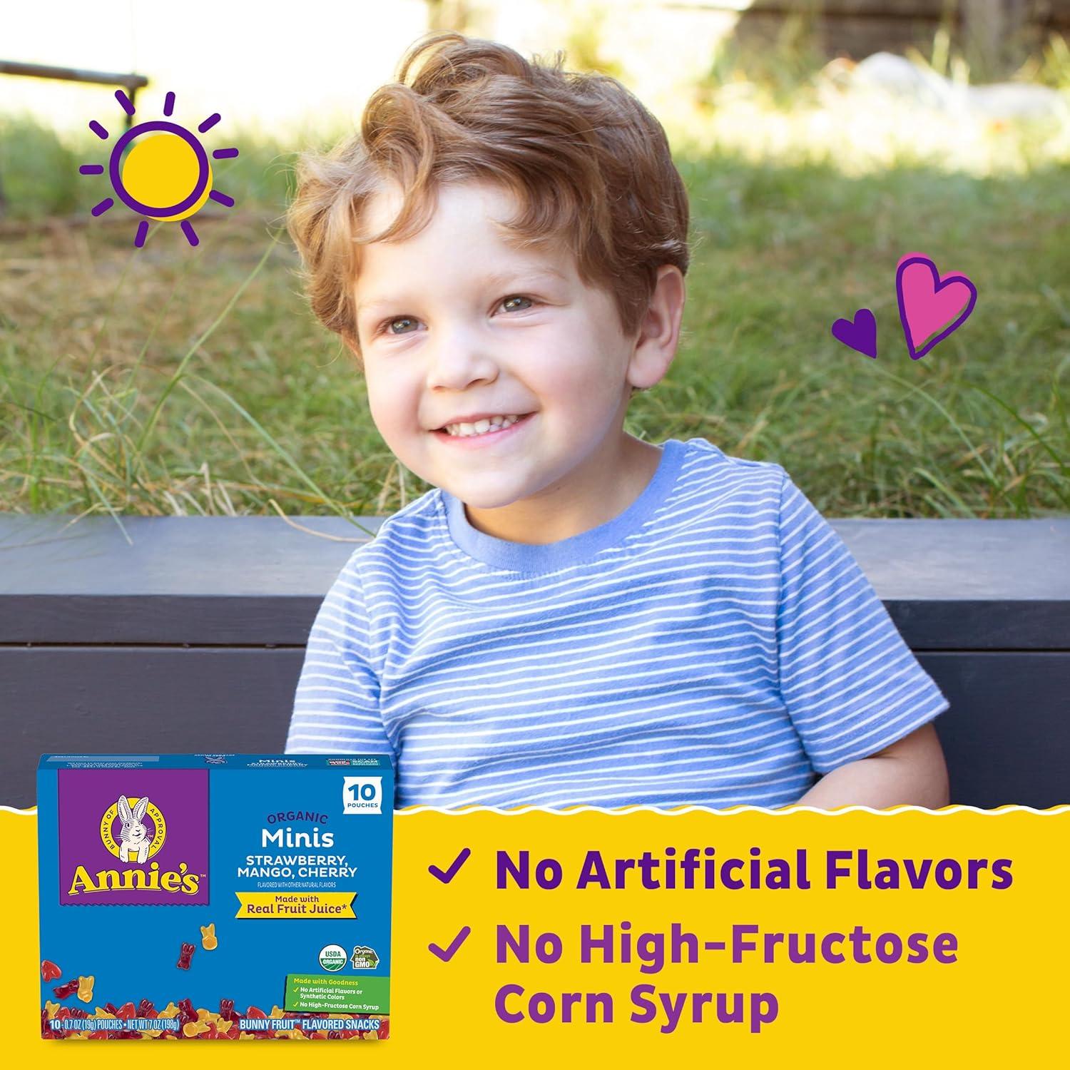 image:imageAnnies Organic Bunny Fruit Flavored Snacks Summer Strawberry Gluten Free Value Pack 22 Pouches 154 ozFruit