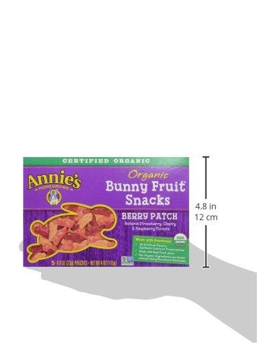 image:imageAnnies Organic Bunny Fruit Flavored Snacks Summer Strawberry Gluten Free Value Pack 22 Pouches 154 ozOrganic