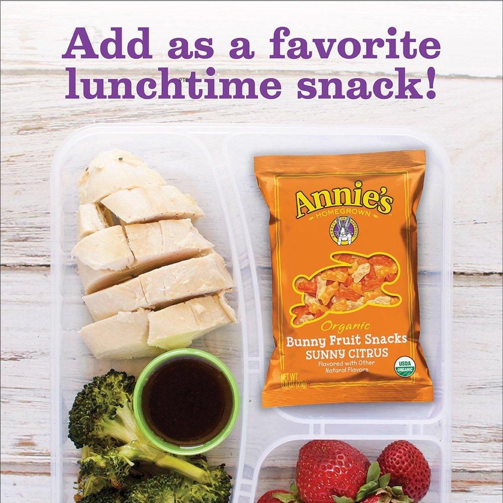 image:imageAnnies Organic Bunny Fruit Flavored Snacks Summer Strawberry Gluten Free Value Pack 22 Pouches 154 ozSunny Citrus