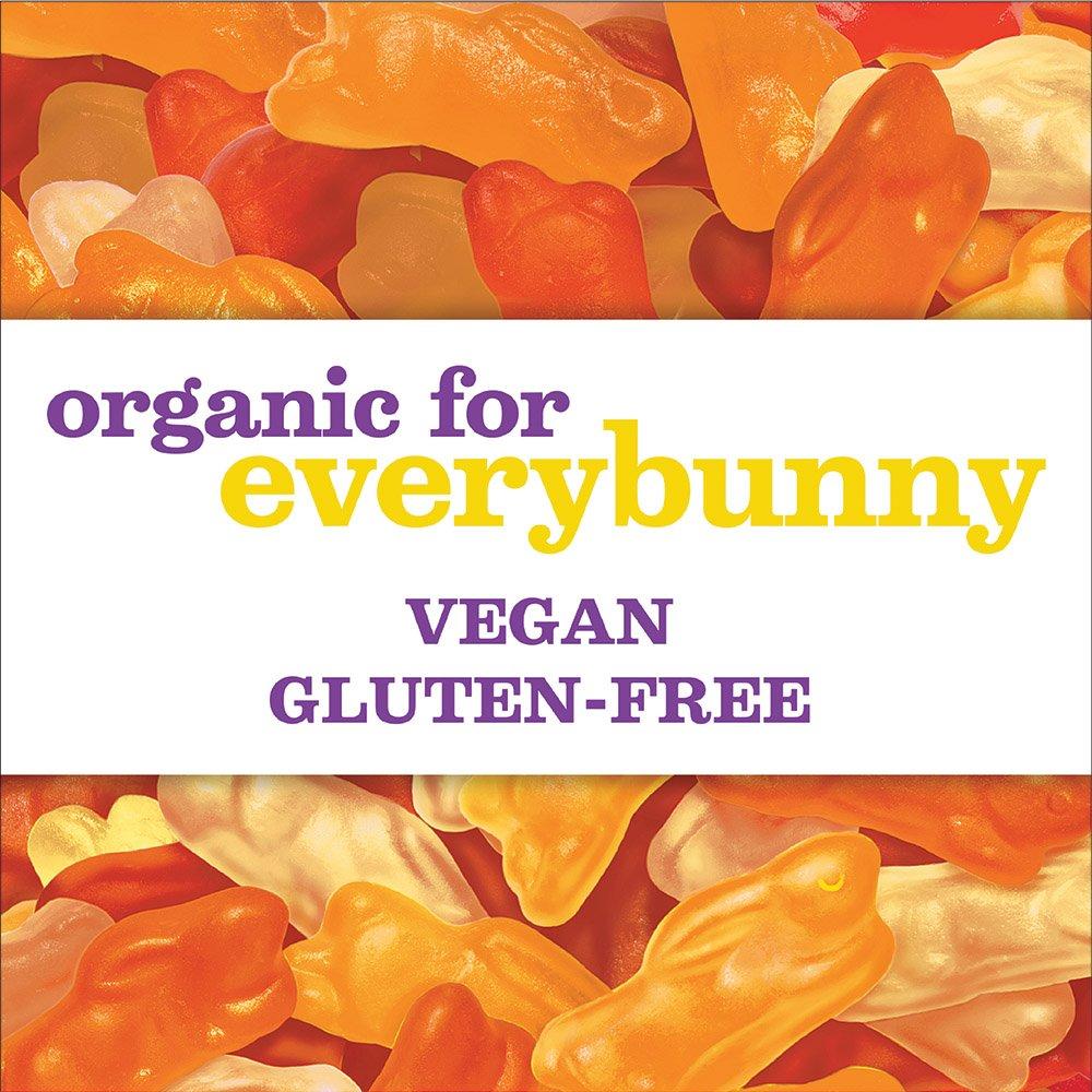 image:imageAnnies Organic Bunny Fruit Flavored Snacks Summer Strawberry Gluten Free Value Pack 22 Pouches 154 ozSunny Citrus