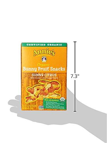 image:imageAnnies Organic Bunny Fruit Flavored Snacks Summer Strawberry Gluten Free Value Pack 22 Pouches 154 ozSunny Citrus