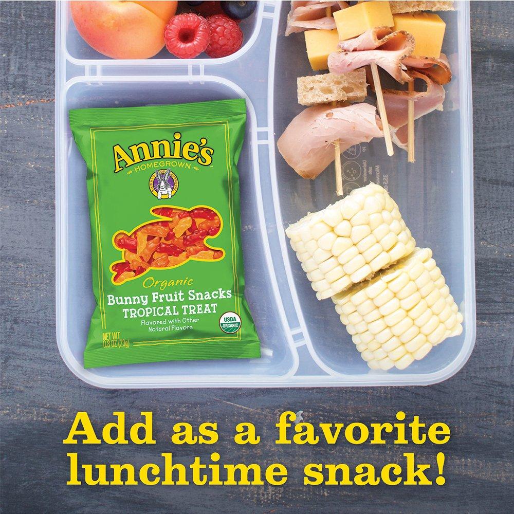 image:imageAnnies Organic Bunny Fruit Flavored Snacks Summer Strawberry Gluten Free Value Pack 22 Pouches 154 ozTropical Treat