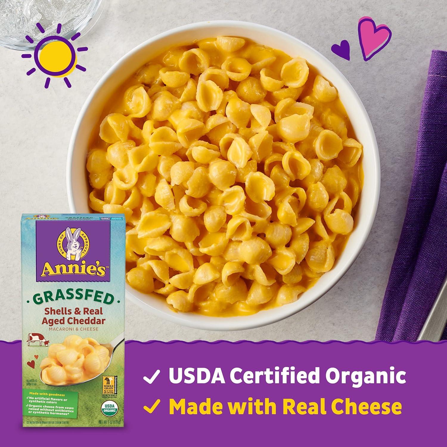 image:imageAnnies Organic Shells and Real Aged Cheddar Made with Real Cheese 6 oz Pack of 12Real Aged Cheddar