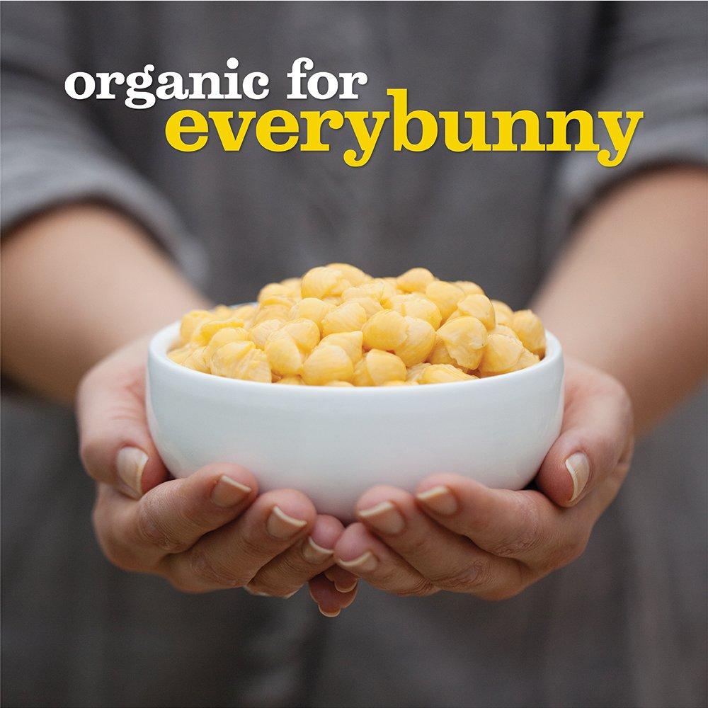 image:imageAnnies Organic Shells and White Cheddar Made with Real Cheese 6 oz Pack of 12Shells Real Aged Cheddar