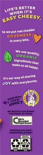image:imageAnnies Organic Snack Variety Pack Cheddar Bunnies and Bunny Grahams 1 oz 36 ctCheddar Squares