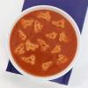 Annie’s Creamy Tomato and Bunny Pasta Canned Soup, Ready To Serve, 14.3 oz (Pack of 8)(Creamy Tomato & Bunny Pasta)