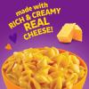 Annie’s Deluxe Shells and Aged Cheddar, Pasta and Cheese Sauce, Mac and Cheese Made with Organic Pasta, Dinner Side or Snacks, 11 oz (Pack of 12)(Shells & Aged Cheddar)