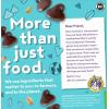 Annie’s Gluten Free Chewy Granola Bars, Double Chocolate Chip, 5 Bars, 4.9 oz (Pack of 12)(Double Chocolate Chip)