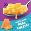 Annie’s Gluten Free Rice Pasta and Cheddar, Made with Real Cheese, 6 oz (Pack of 12)(Cheddar)
