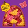 Annie’s Organic Bees, Bugs, and Butterflies Fruit Flavored Snacks, 10 Pouches, 7 oz(Strawberry  Raspberry & Apple)