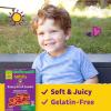 Annie’s Organic Berry Patch Bunny Fruit Snacks, Gluten Free, 16 oz, 20 ct(Fruit Snacks)