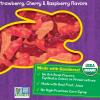 Annie’s Organic Bunny Fruit Flavored Snacks, Summer Strawberry, Gluten Free, Value Pack, 22 Pouches, 15.4 oz(Organic)
