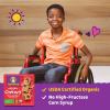 Annie’s Organic Chewy Granola Bars, Chocolate Chip, 6 Bars, 5.34 oz (Pack of 12)(Oatmeal Raisin)