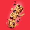 Annie’s Organic Chewy Granola Bars, Chocolate Chip, 6 Bars, 5.34 oz (Pack of 12)(Oatmeal Raisin)