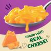Annie’s Organic Macaroni and Classic Cheddar, Made with Real Cheese, 6 oz (Pack of 12)(Classic Cheddar)