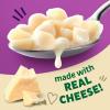 Annie’s Organic Macaroni and Classic Cheddar, Made with Real Cheese, 6 oz (Pack of 12)(White Cheddar)