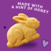 Annie’s Organic, Snack Variety Pack, Cheddar Bunnies and Bunny Grahams, 1 oz, 36 ct(Honey)