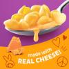 Annie’s Shells and White Cheddar, Made with Organic Pasta and Real Cheese, Family Size, 10.5 oz (Pack of 6)(Real Aged Cheddar)