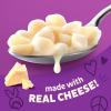 Annie’s Shells and White Cheddar, Made with Organic Pasta and Real Cheese, Family Size, 10.5 oz (Pack of 6)(White Cheddar)