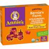 Annie’s Organic Bees, Bugs, and Butterflies Fruit Flavored Snacks, 10 Pouches, 7 oz(Strawberry  Orange & Raspberry)