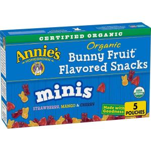 Annie’s Organic Bunny Fruit Flavored Snacks, Summer Strawberry, Gluten Free, Value Pack, 22 Pouches, 15.4 oz(Fruit)